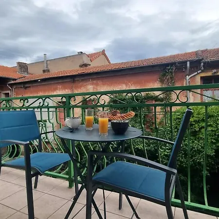 Spacieux Avec Terrasse, Cheminee, Wifi Et Parking A - Fr-1-496-337 Semesterbostad Roanne