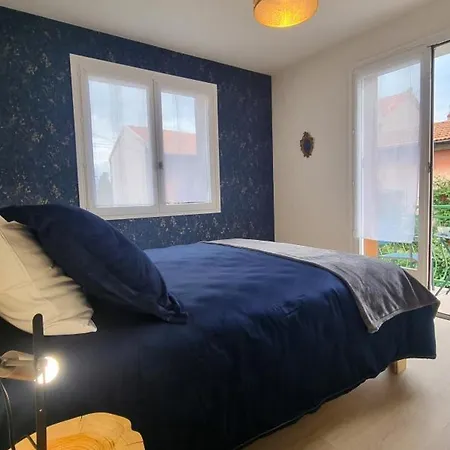 Spacieux Avec Terrasse, Cheminee, Wifi Et Parking A - Fr-1-496-337 Roanne